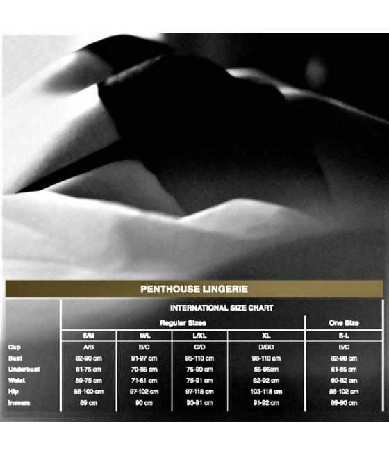 Penthouse - midnight visit teddy s/m/l