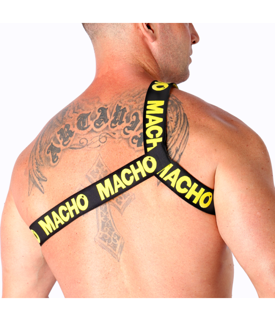 Macho - arnes romano amarillo s/m