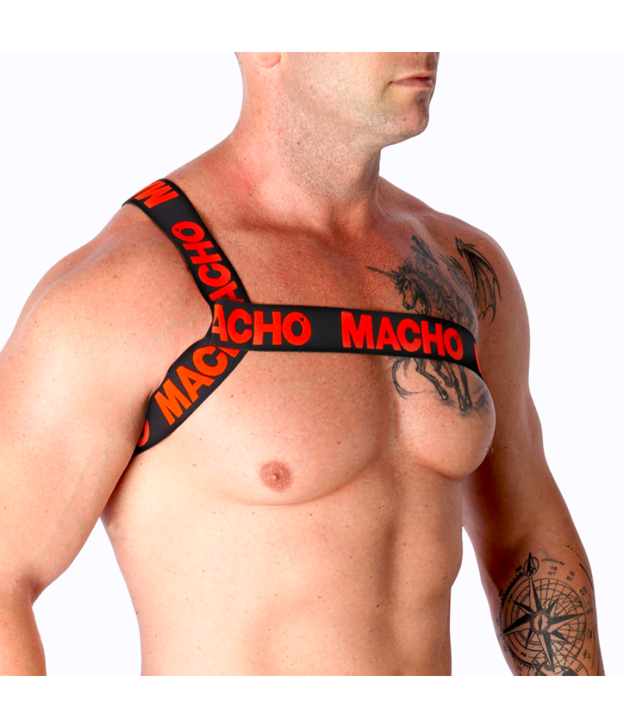 Macho - arnes romano amarillo s/m