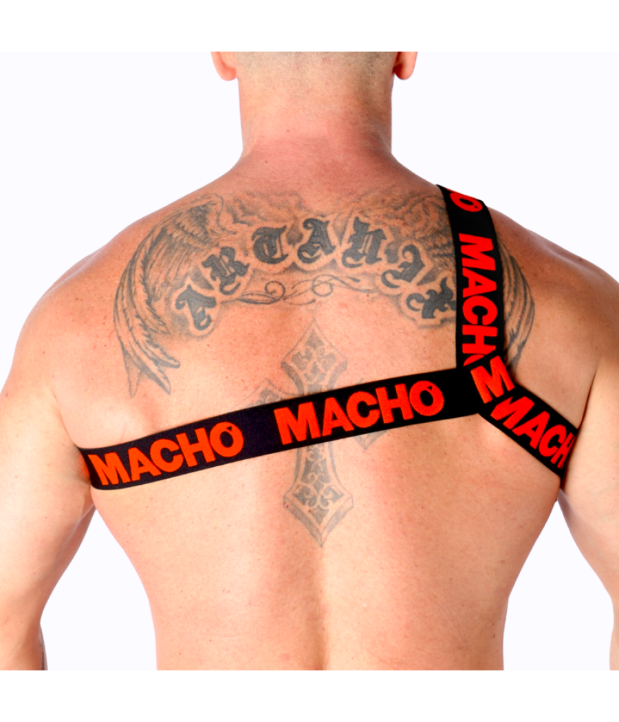 Macho - arnes romano amarillo s/m