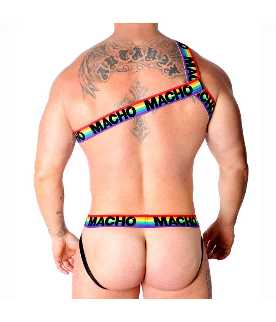 Macho - arnes romano amarillo s/m