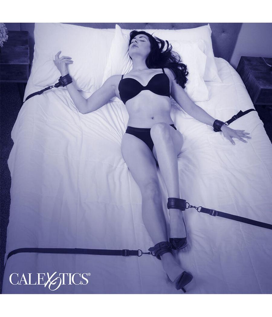 Calexotics - nocturnal restricciones de cama cuero ajustable negro