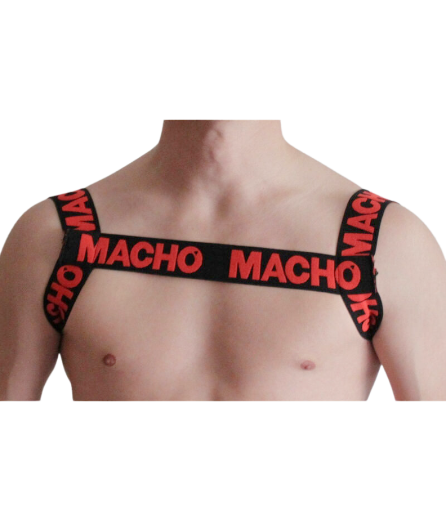 Macho - arnes