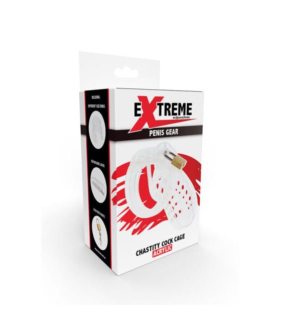 Hidden desire - extreme jaula de castidad acrÍlica ajustable transparente
