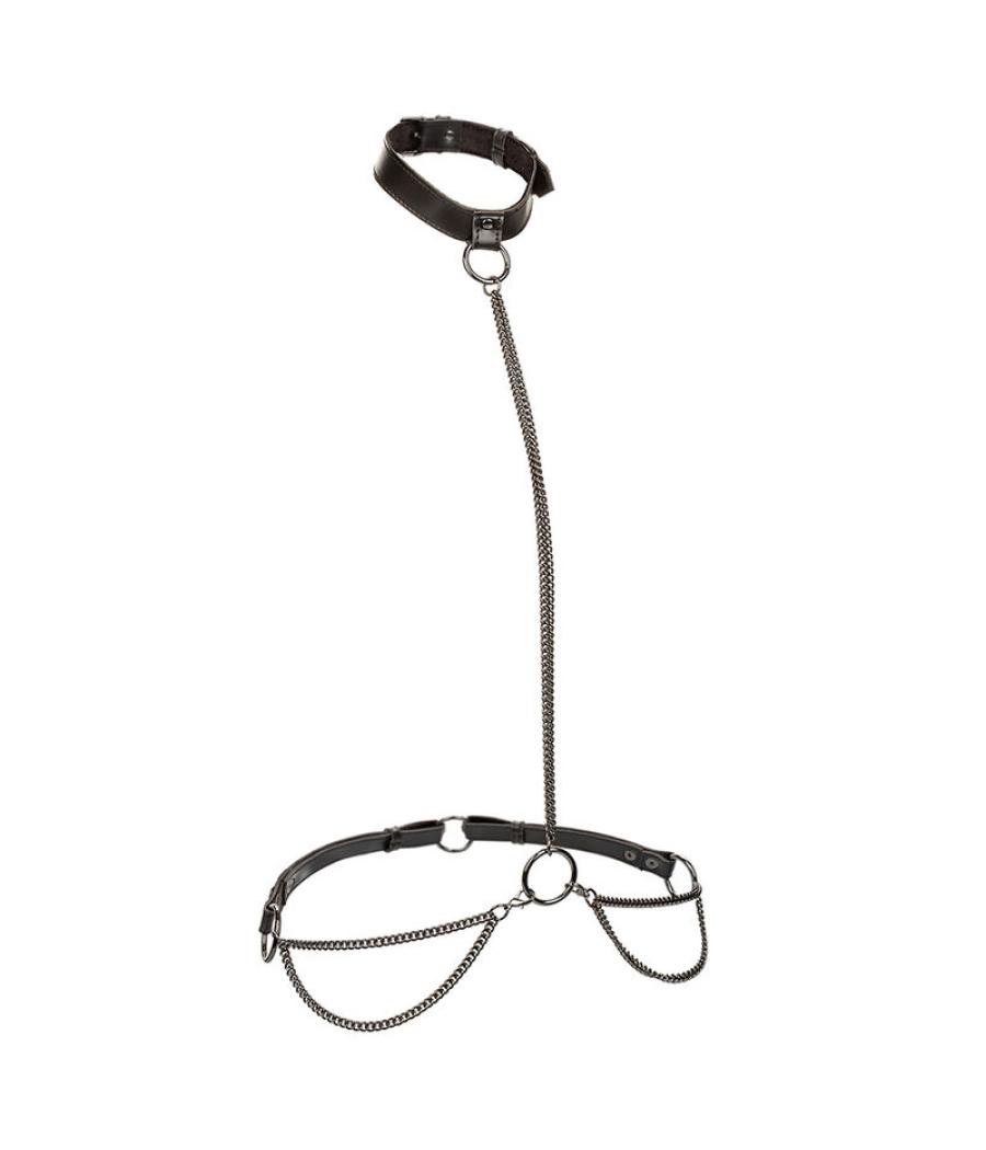 Calexotics - euphoria collar halter y correa con cadena