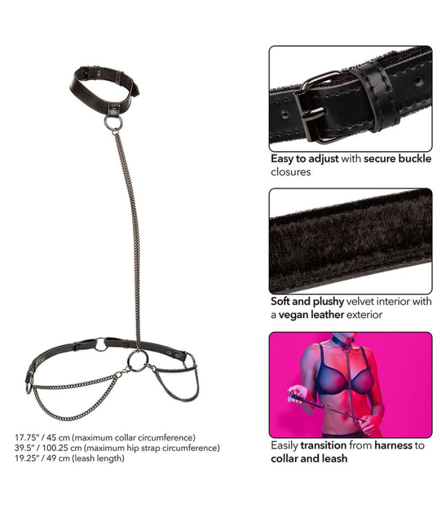 Calexotics - euphoria collar halter y correa con cadena