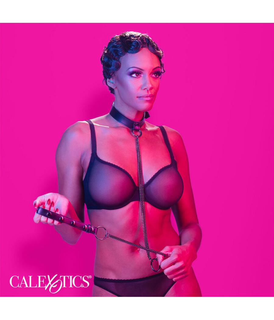 Calexotics - euphoria collar halter y correa con cadena