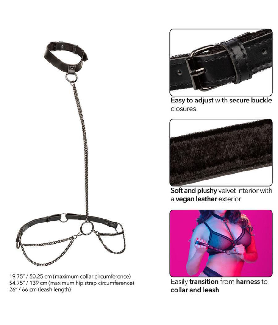 Calexotics - euphoria collar halter y correa con cadena talla plus