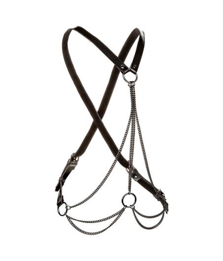 Calexotics - euphoria arnÉs de mÚltiples cadenas premium talla plus