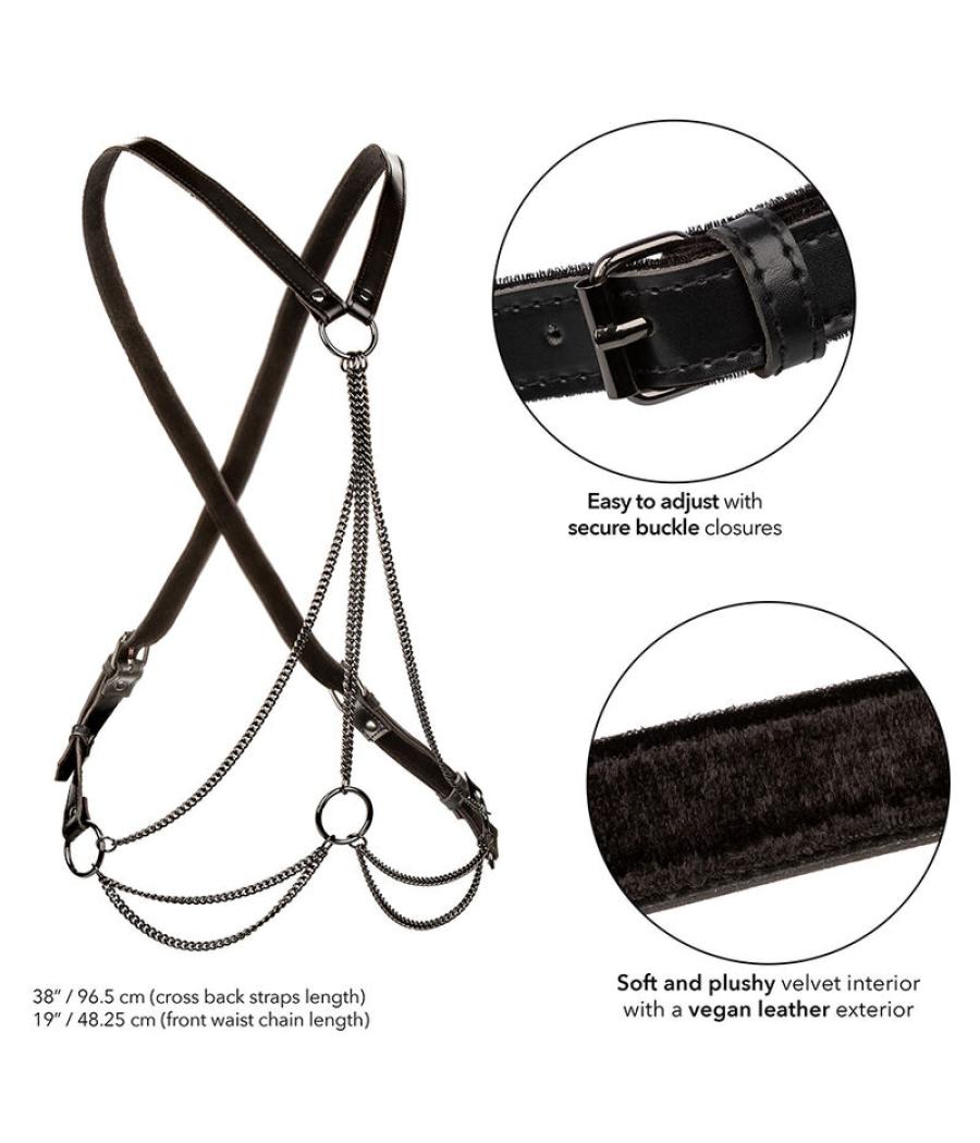 Calexotics - euphoria arnÉs de mÚltiples cadenas premium talla plus